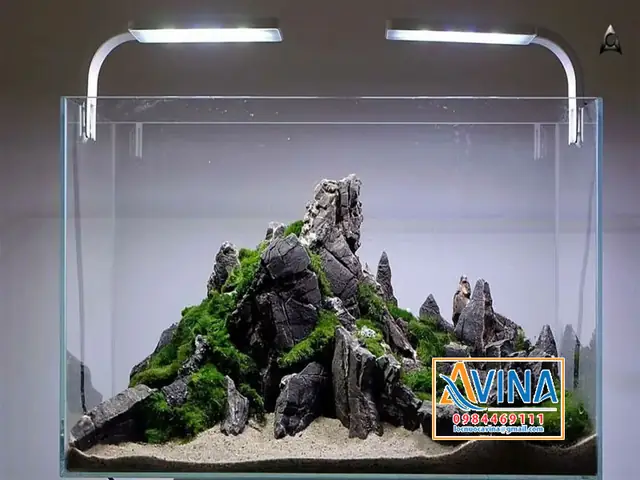 Mẫu Trang Trí Bể Cá Thủy Sinh Layout Đá