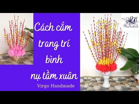 Bước Nào Để Trang Trí Bình Hoa Nụ Tầm Xuân Đẹp Mắt?
