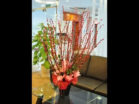 Bước Nào Để Trang Trí Bình Hoa Nụ Tầm Xuân Đẹp Mắt?