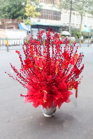 Bước Nào Để Trang Trí Bình Hoa Nụ Tầm Xuân Đẹp Mắt?