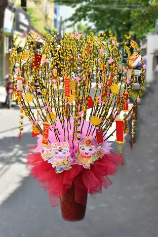 Bước Nào Để Trang Trí Bình Hoa Nụ Tầm Xuân Đẹp Mắt?