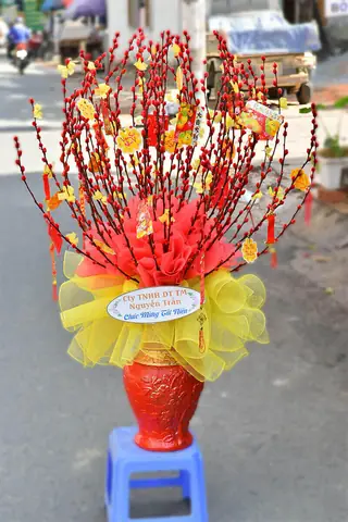 Bước Nào Để Trang Trí Bình Hoa Nụ Tầm Xuân Đẹp Mắt?