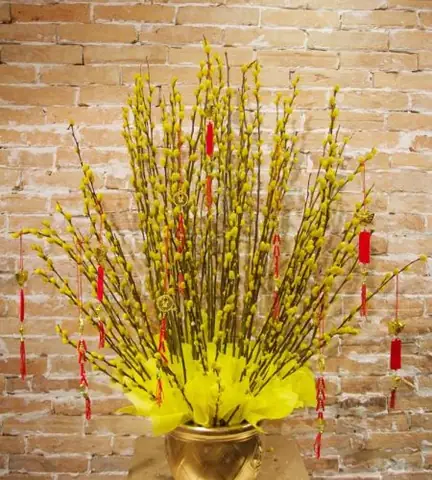 Bước Nào Để Trang Trí Bình Hoa Nụ Tầm Xuân Đẹp Mắt?