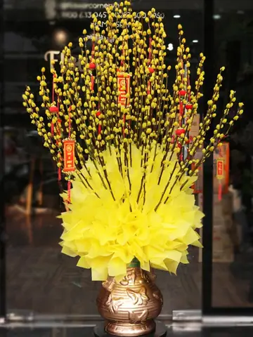 Bước Nào Để Trang Trí Bình Hoa Nụ Tầm Xuân Đẹp Mắt?