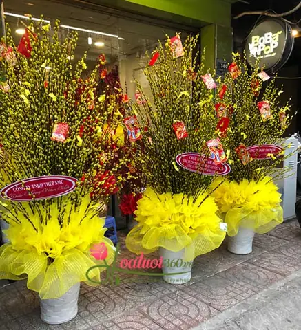 Bước Nào Để Trang Trí Bình Hoa Nụ Tầm Xuân Đẹp Mắt?