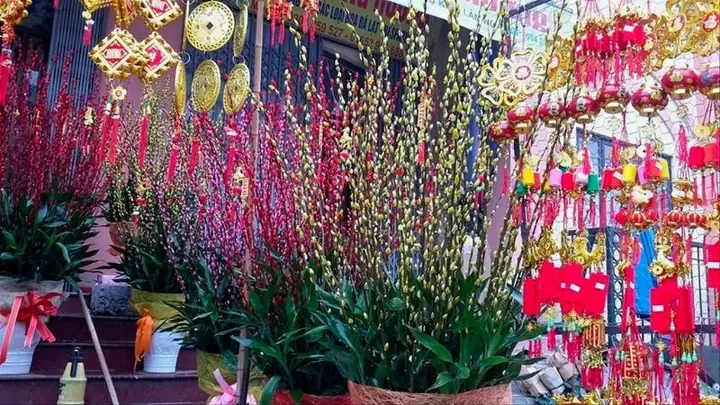 Bước Nào Để Trang Trí Bình Hoa Nụ Tầm Xuân Đẹp Mắt?