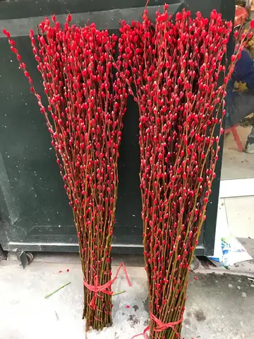 Bước Nào Để Trang Trí Bình Hoa Nụ Tầm Xuân Đẹp Mắt?