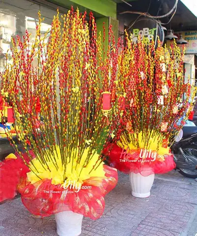 Bước Nào Để Trang Trí Bình Hoa Nụ Tầm Xuân Đẹp Mắt?