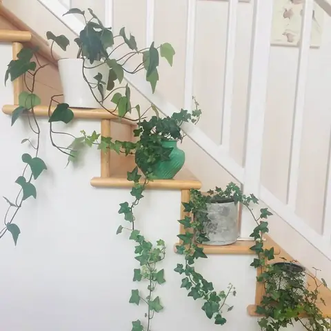 Trang Trí Bậc Cầu Thang