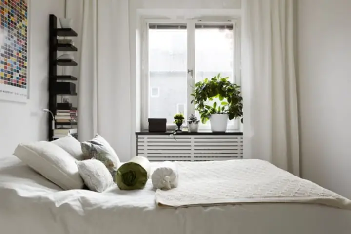 Cách Trang Trí Cây Xanh Trong Phòng Ngủ Như Thế Nào?