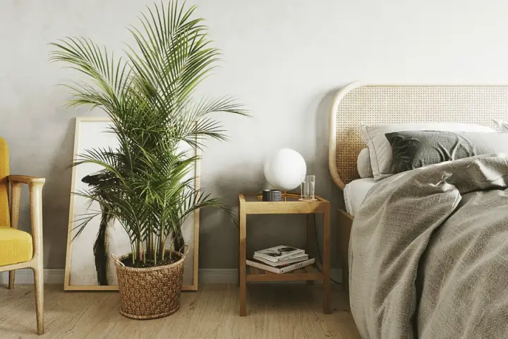 Cách Trang Trí Cây Xanh Trong Phòng Ngủ Như Thế Nào?