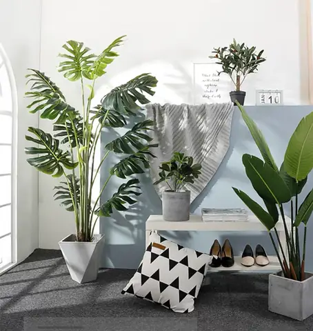 Cách Trang Trí Cây Xanh Trong Phòng Ngủ Như Thế Nào?