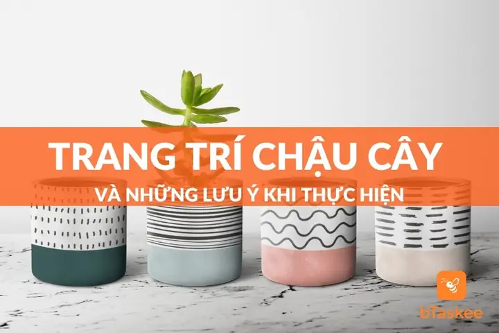 Các Cách Trang Trí Chậu Cây Và Những Lưu Ý Khi Thực Hiện ...