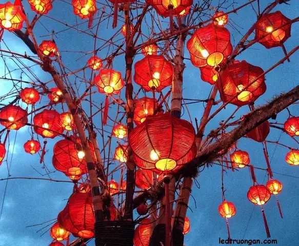 Trang Trí Cây Bằng Dây Đui Thả