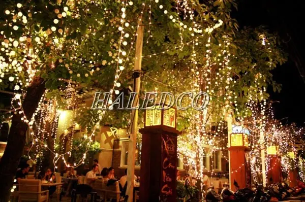 Cách Lắp Đèn Trang Trí Cây Ngoài Trời Hot Dễ Nhất