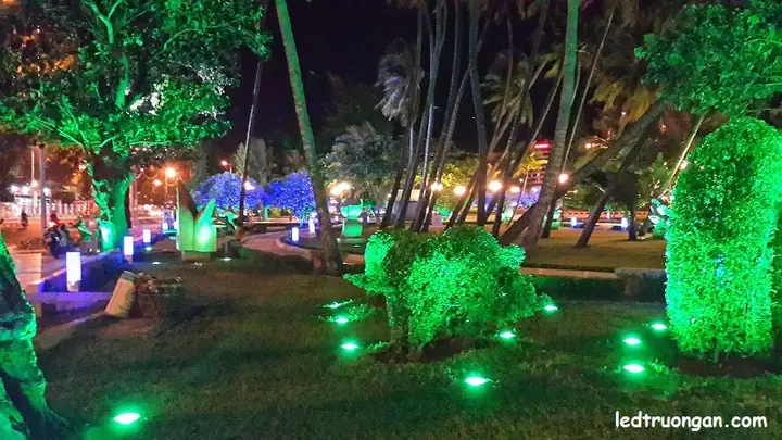 Sử Dụng Đèn Hắt Cây Trang Trí Và Chiếu Sáng