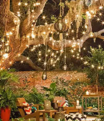 Trang Trí Cây Bằng Dây Đui Thả