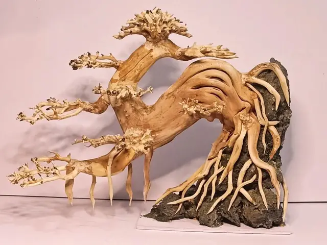 Gỗ Lũa Là Gì? Báo Giá Và Ứng Dụng Trong Trang Trí Nội Thất