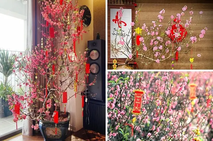 Cách Trang Trí Cây Đào Tết