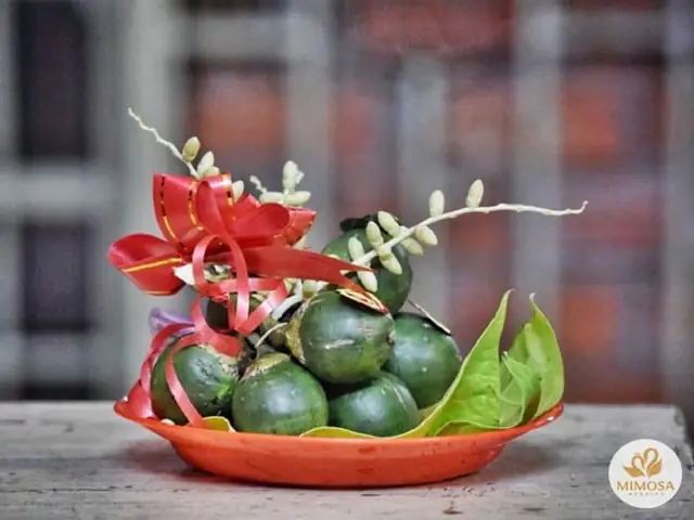 Hướng Dẫn Cách Bày Mâm Trầu Cau Ăn Hỏi Đúng, Đủ Hướng Dẫn Cách Bày Mâm Trầu Cau Ăn Hỏi Đúng, Đủ