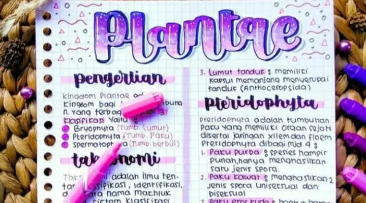30+ Ý Tưởng Cách Trang Trí Sổ Nhật Ký Đội Viên Đẹp Ấn Tượng
