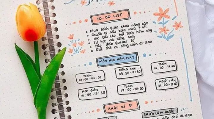 30+ Ý Tưởng Cách Trang Trí Sổ Nhật Ký Đội Viên Đẹp Ấn Tượng