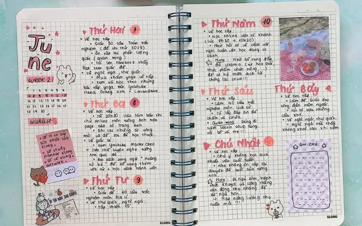 Tìm Kiếm Của Người Dùng: Cách Trang Trí Vở Đề Cương Tìm Kiếm Của Người Dùng: Cách Trang Trí Vở Đề Cương