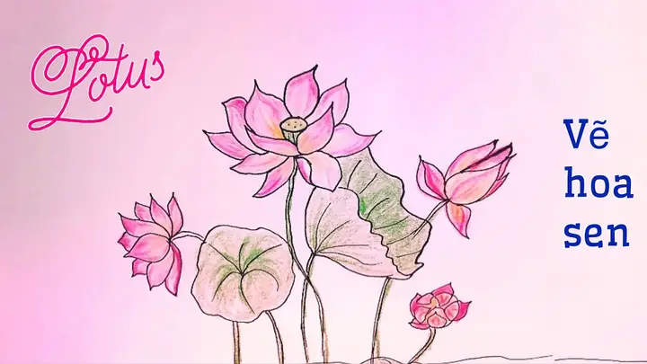 Hình Ảnh Cho Cách Vẽ Hoa Hồng Trang Trí Báo Tường: Hình Ảnh Cho Cách Vẽ Hoa Hồng Trang Trí Báo Tường: