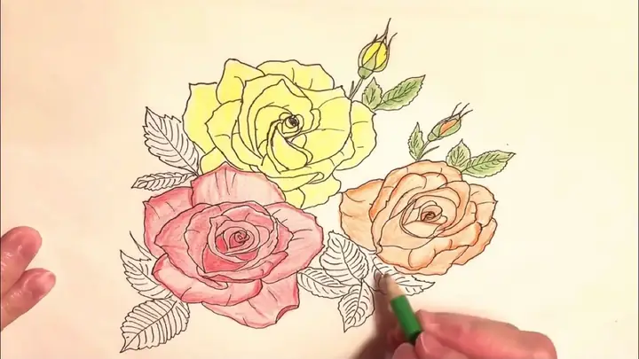 Hình Ảnh Cho Cách Vẽ Hoa Hồng Trang Trí Báo Tường: Hình Ảnh Cho Cách Vẽ Hoa Hồng Trang Trí Báo Tường: