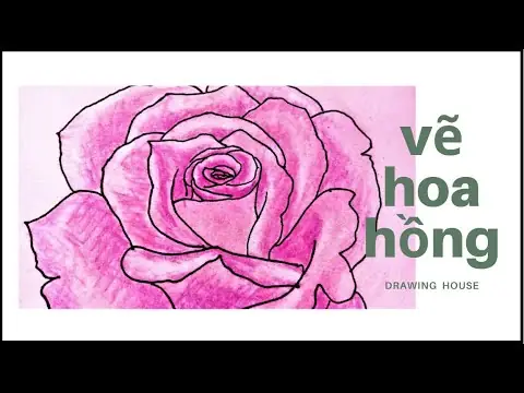 Hình Ảnh Cho Cách Vẽ Hoa Hồng Trang Trí Báo Tường: Hình Ảnh Cho Cách Vẽ Hoa Hồng Trang Trí Báo Tường: