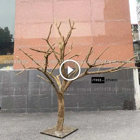 Cây Khô Trang Trí Hà Nội - Cây Giả Trang Trí Itree Studio