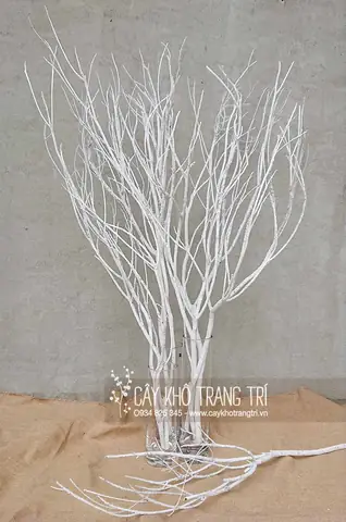 Hướng Dẫn Làm Cây Sơn Trắng - Cây Khô Trang Trí