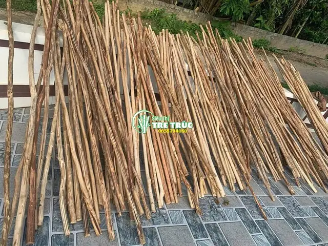 Cây Gỗ Khô Trang Trí Trần, Ốp Tường, Dựng Vách Giá Rẻ