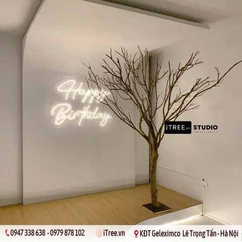 Thân Cây Gỗ Trang Trí