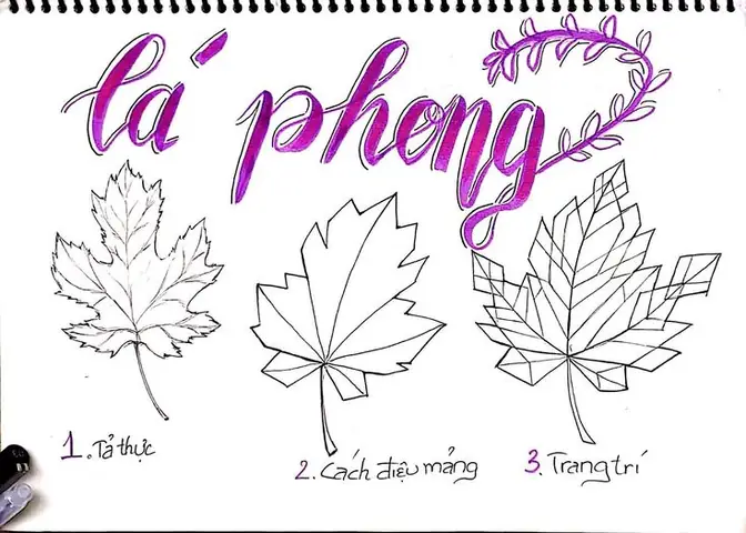 Các Kỹ Năng Cần Có Để Vẽ Chữ Trang Trí Lớp 7 Đẹp Và Nổi Bật Là Gì?