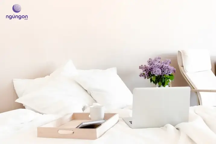 Những Lưu Ý Quan Trọng Khi Đặt Hoa Hồng Trong Phòng Ngủ Những Lưu Ý Quan Trọng Khi Đặt Hoa Hồng Trong Phòng Ngủ