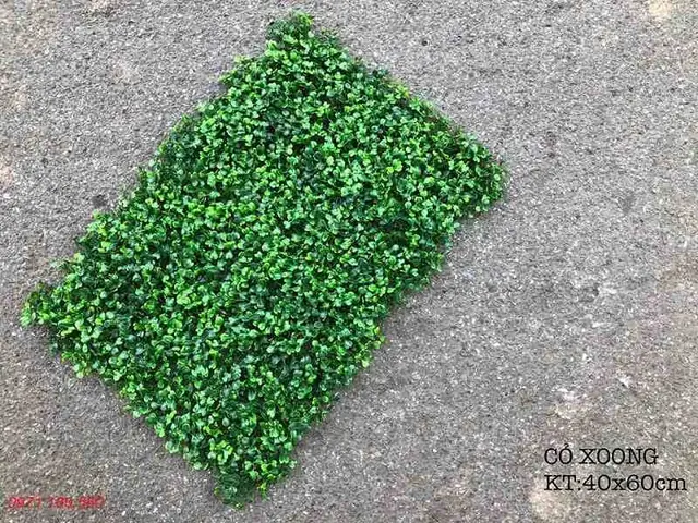 + Cỏ Nhựa Cải Xoong + Cỏ Nhựa Cải Xoong