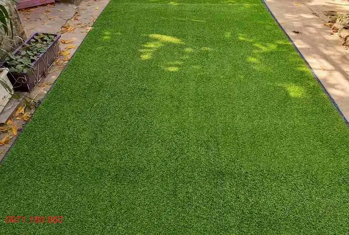 + Thảm Cỏ Nhân Tạo Cao 2cm Đế 1 Lớp + Thảm Cỏ Nhân Tạo Cao 2cm Đế 1 Lớp