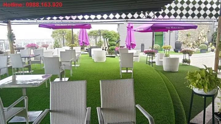 Ứng Dụng Thảm Cỏ Nhựa Trang Trí Ứng Dụng Thảm Cỏ Nhựa Trang Trí