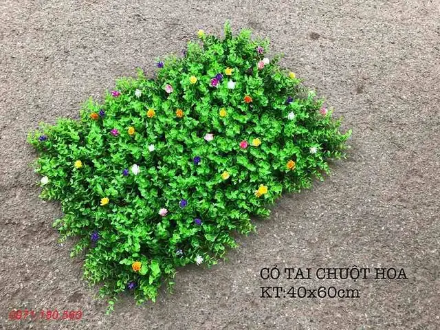+ Cỏ Nhựa Tai Chuột Có Điểm Hoa + Cỏ Nhựa Tai Chuột Có Điểm Hoa