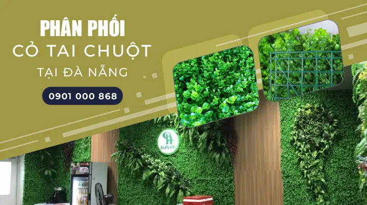 Phân Phối Thảm Cỏ Tai Chuột Trang Trí Vách Tường Đà Nẵng