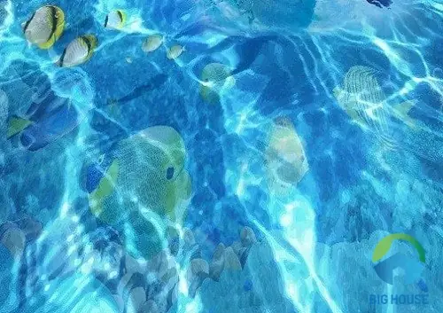 Gạch Lát Nền 3d