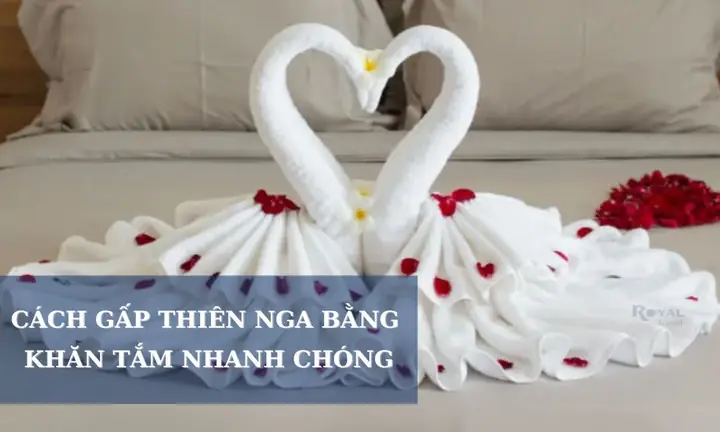 Cách Gấp Thiên Nga Bằng Khăn Tắm Đơn Giản, Đẹp - Royal Towel Cách Gấp Thiên Nga Bằng Khăn Tắm Đơn Giản, Đẹp - Royal Towel