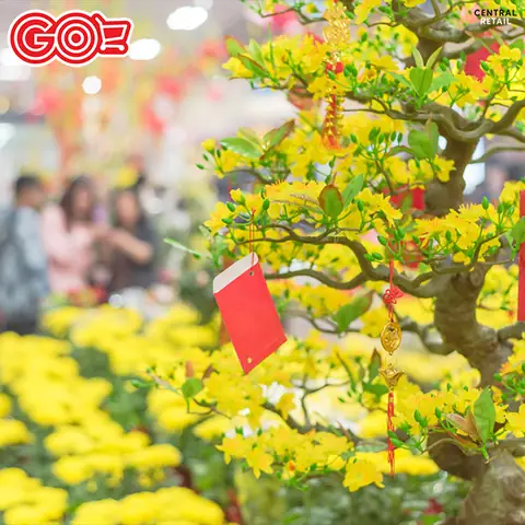 Trang Trí Tết Với Hoa Tươi