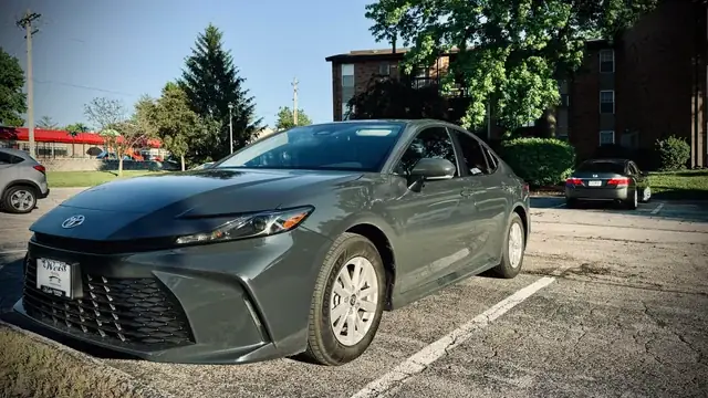 Giá Gỗ Đinh Hương 2019: Phân Tích & Biến Động Thị Trường