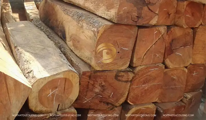 Gỗ Hương Vân Nam Phi Là Gỗ Gì?