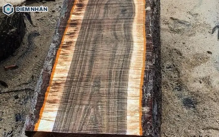 Đặc Điểm Của Gỗ Ké