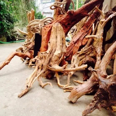 Gỗ Lũa Trang Trí Bể Cá - Vi Sinh Cá Cảnh Aquarium Care Gỗ Lũa Trang Trí Bể Cá - Vi Sinh Cá Cảnh Aquarium Care