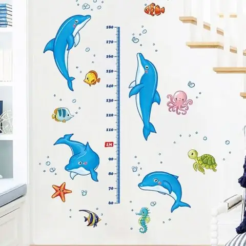 Hình Mặt Trời Và Cá Heo