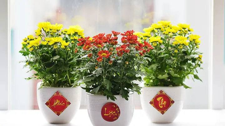 Hình Ảnh Trang Trí Tường Nhà Đẹp Được Thể Hiện Như Thế Nào?